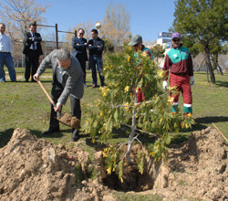 El alcalde y el viceconsejero de Medio Ambiente de la Comunidad, participaron en la plantación de árboles