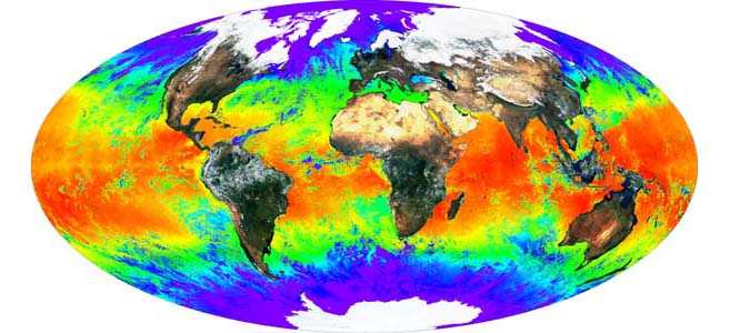 El Ayuntamiento de Sanse se suma a la celebración de 