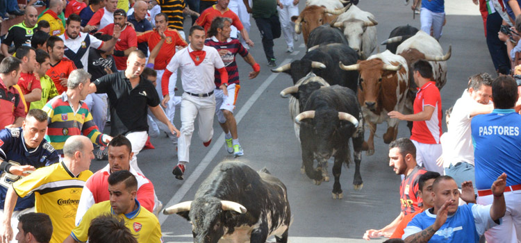 Tercer encierro de Sanse rápido, limpio y con mucha emoción
