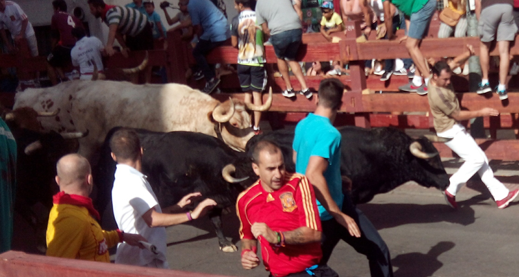 Otro encierro rápido y emocionante en San Sebastián de los Reyes