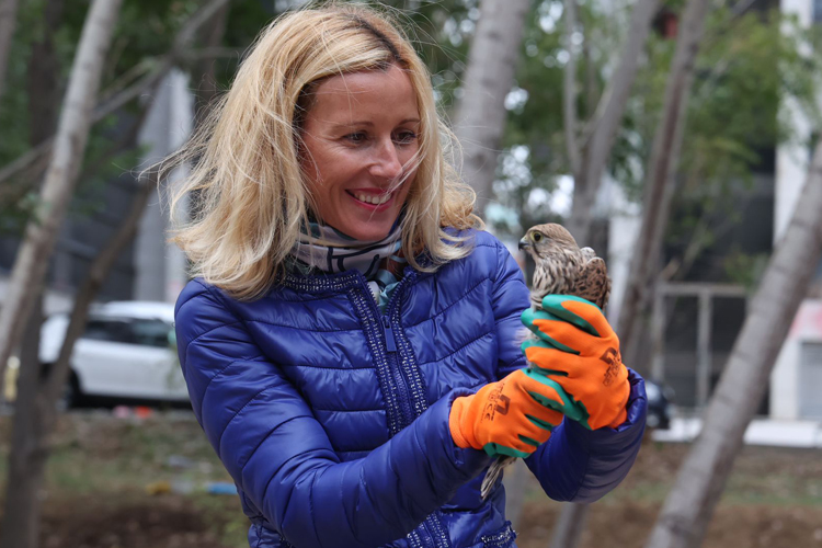 Una nueva ‘Senda Verde’ en Alcobendas recorre más de un kilómetro en el Arroyo de la Vega