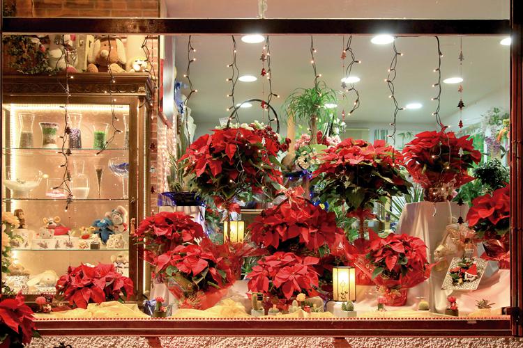 Abierto el plazo de inscripción para la “Campaña de Navidad” y el “Concurso de Escaparates Navideños'