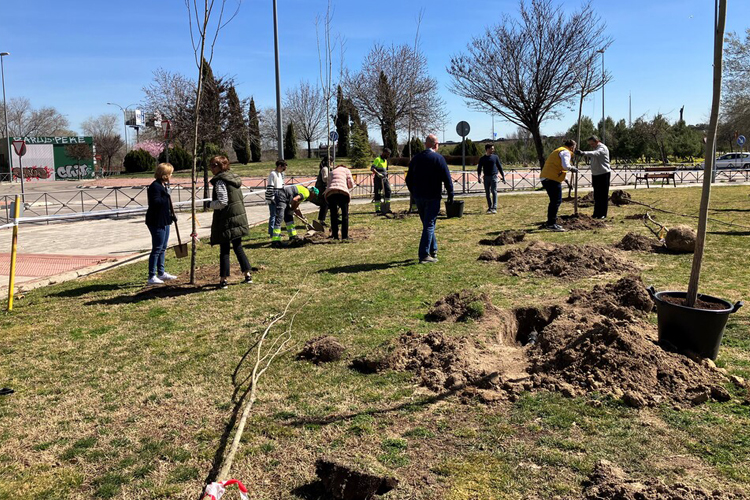Parcesa apoya por tercer año consecutivo la reforestación del Arroyo de la Vega - El Juncal de Alcobendas