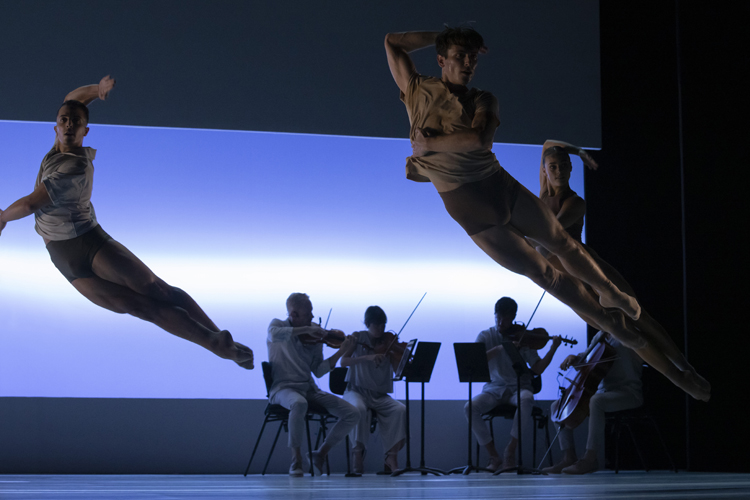 La Comunidad de Madrid reúne a los nuevos valores del cante jondo en el Festival Suma Flamenca Joven 2023