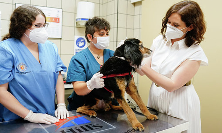 Díaz Ayuso firma un protocolo de actuación pionero en España para proteger a los animales de compañía frente al COVID-19