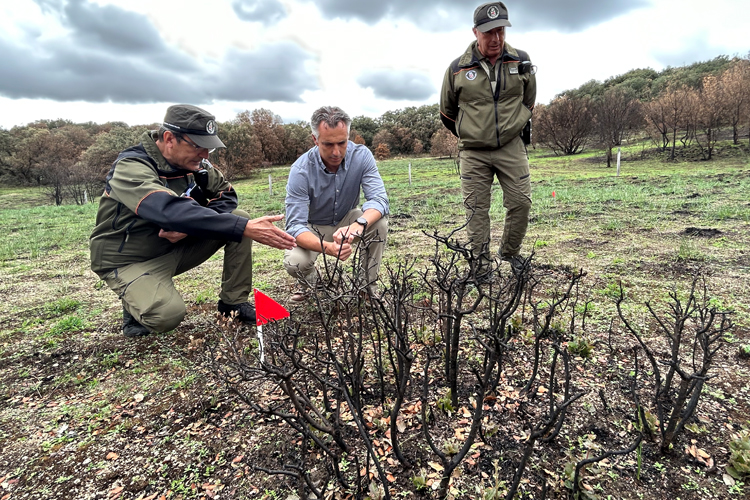 La Comunidad de Madrid esclareció la causa del 88% de los incendios forestales registrados en la región en 2022
