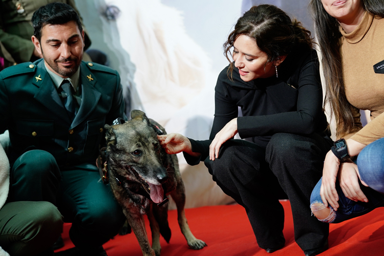 Díaz Ayuso presenta una campaña para animar a a la adopción de perros que han prestado servicio a los Cuerpos y Fuerzas de Seguridad del Estado