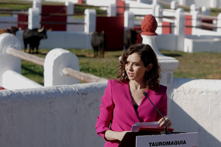 Díaz Ayuso celebra la vuelta del toreo a la Venta del Batán “frente a los que hacen política cegados por un sesgo ideológico”