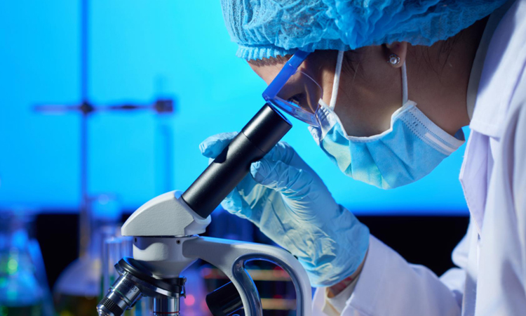 La Comunidad de Madrid organiza una nueva edición de la feria Madrid es Ciencia, que contará con más de 700 actividades