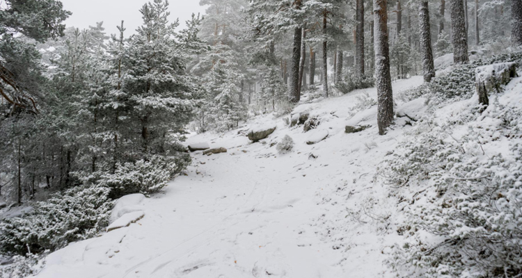 La Comunidad de Madrid pide prudencia y responsabilidad a los ciudadanos que visiten la sierra este fin de semana