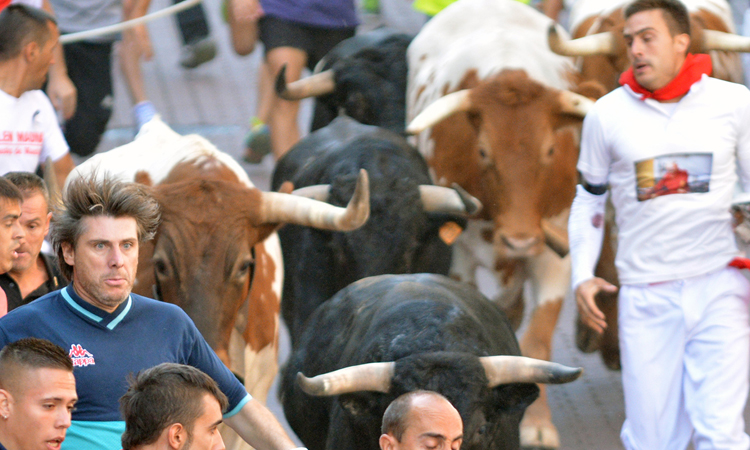 Abierto el plazo para el concurso del cartel de los encierros de Sanse