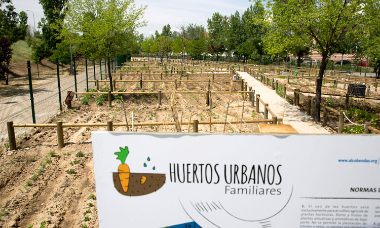Más de 800 solicitudes para los huertos urbanos de Alcobendas 
