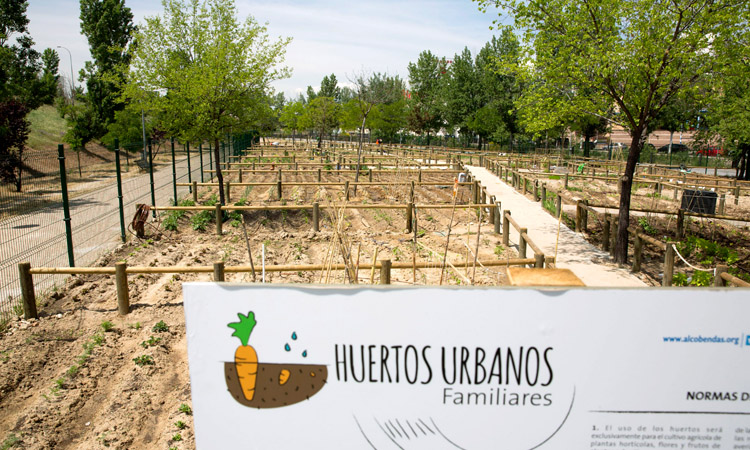 Nuevo sorteo de 123 huertos urbanos en Alcobendas