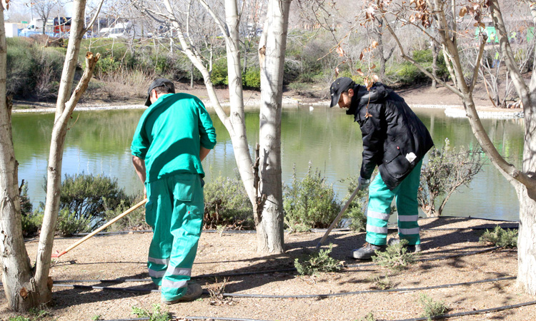 21 desempleados de larga duración para el mantenimiento de zonas verdes de Alcobendas