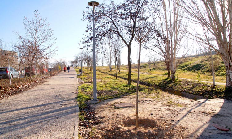El Ayuntamiento de Alcobendas planta 300 árboles para crear un corredor verde junto a la A-1