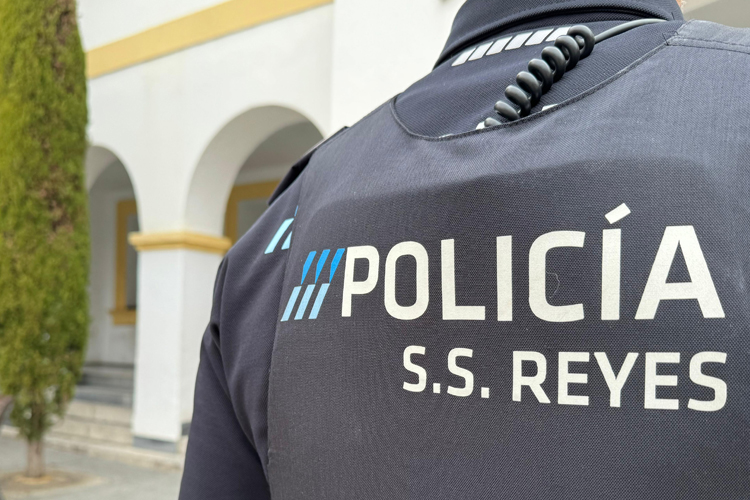 La Policía Local de San Sebastián de los Reyes desenmascara a un grafitero al que se atribuyen más de un centenar de pintadas