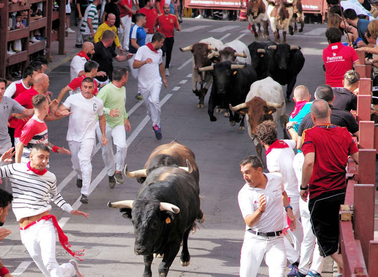 Los toros de La Cardenilla protagonizan emocionantes carreras en el tercer encierro de San Sebastián de los Reyes