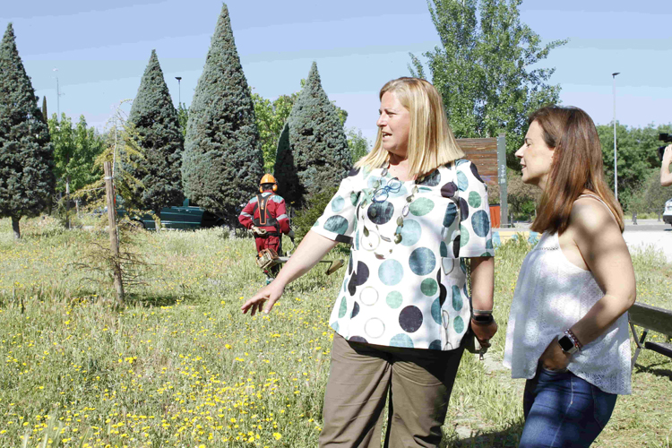 El Ayuntamiento de San Sebastián de los Reyes inicia los trámites para la adjudicación del nuevo contrato de Parques y Jardines
