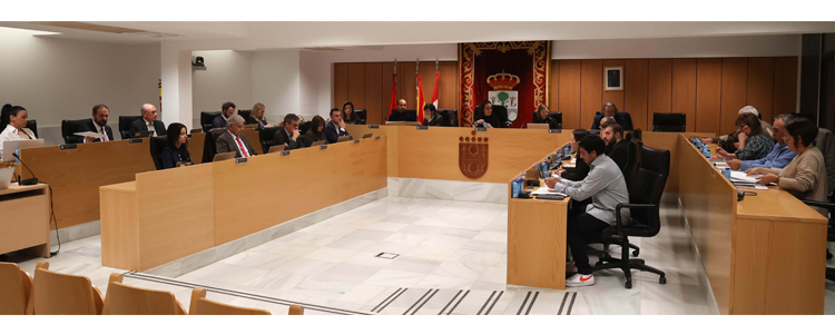 Sanse celebra su Pleno Ordinario correspondiente al mes de diciembre