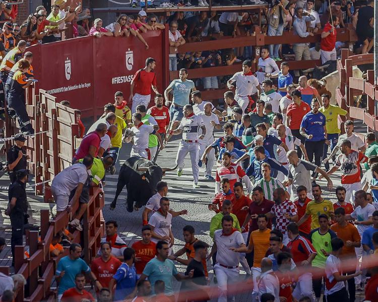 Quinto encierro de San Sebastián de los Reyes: Rápido, templado y con una manada disgregada