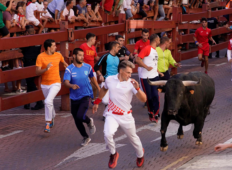 Quinto encierro de San Sebastián de los Reyes: Rápido, templado y con una manada disgregada