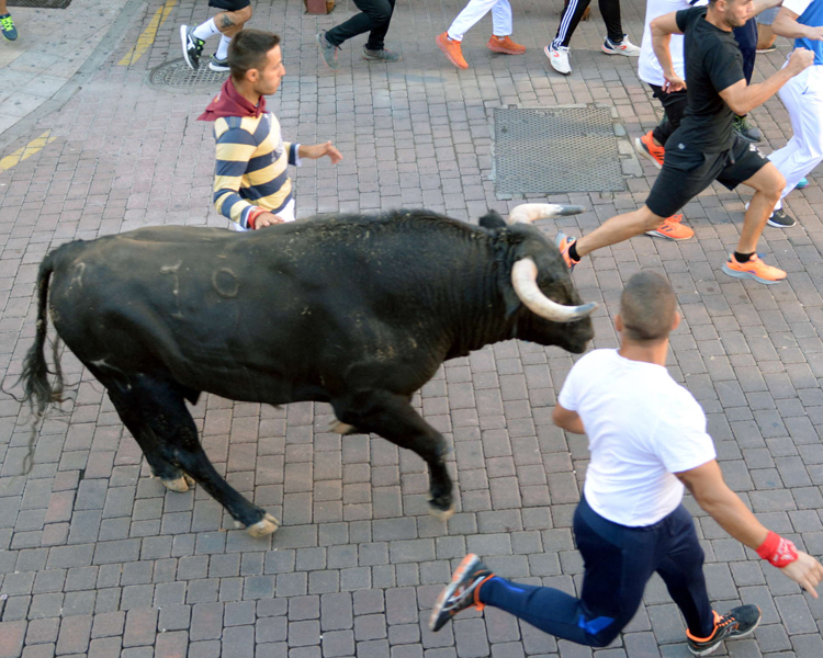 El sexto encierro de San Sebastián de los Reyes ha sido el más rápido de los celebrados hasta el momento