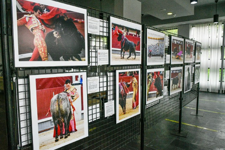 Sanse y esDeToros colaboran en una muestra de 83 imágenes sobre la temporada taurina 2019 en Las Ventas