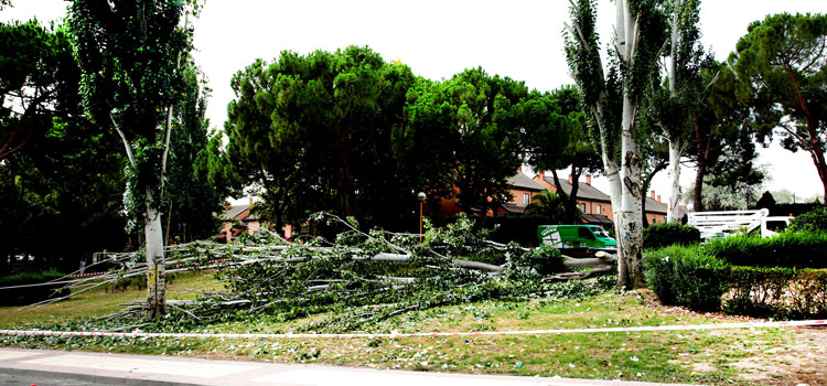 17 Intervenciones de urgencia de la Policía de Alcobendas durante la gran tormenta de ayer domingo