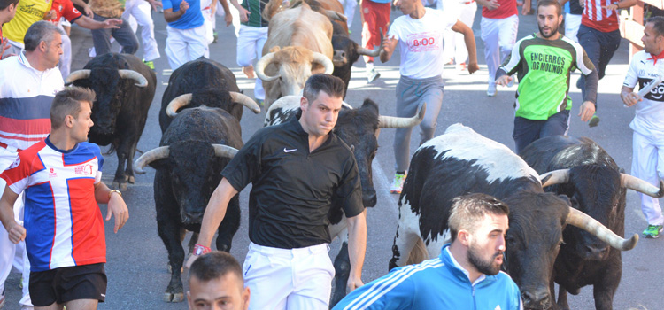 El cuarto encierro de Sanse , un reto para la destreza de los corredores