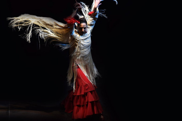 El Flamenco regresa al Distrito de Barajas en abril