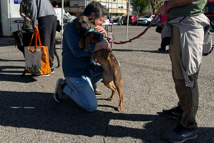Barajas celebra su II Jornada de Adopción de Animales para concienciar sobre el problema del abandono animal