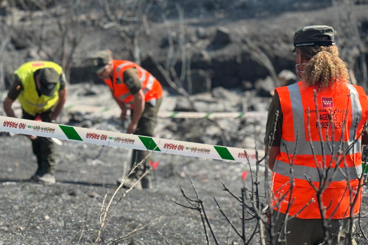 La Comunidad de Madrid identifica a 21 presuntos autores de los incendios forestales intencionados