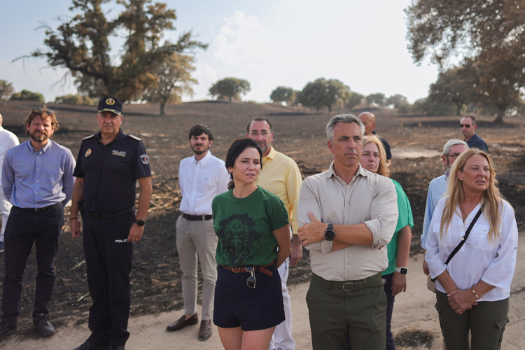 Díaz Ayuso agradece el trabajo de los profesionales de extinción de incendios y voluntarios que se “dejan la piel para salvar vidas y el patrimonio natural”