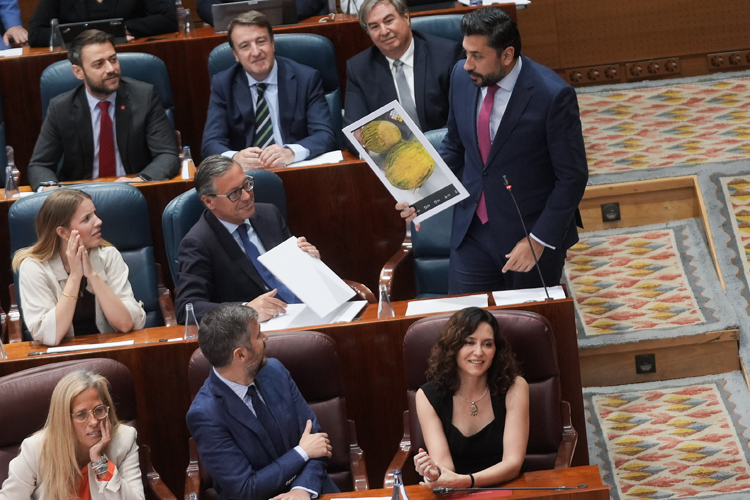 Díaz Ayuso no se pondrá pinganillos en la Conferencia de Presidentes y denunciará la “golfada” que pretende hacer el Gobierno