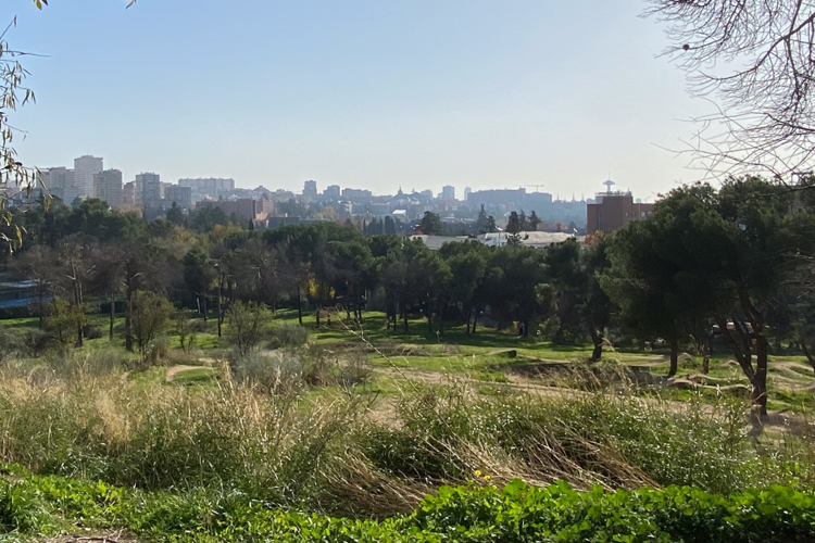 La Comunidad de Madrid declara BIC a la Dehesa de la Villa de la capital en la categoría de Paisaje Cultural