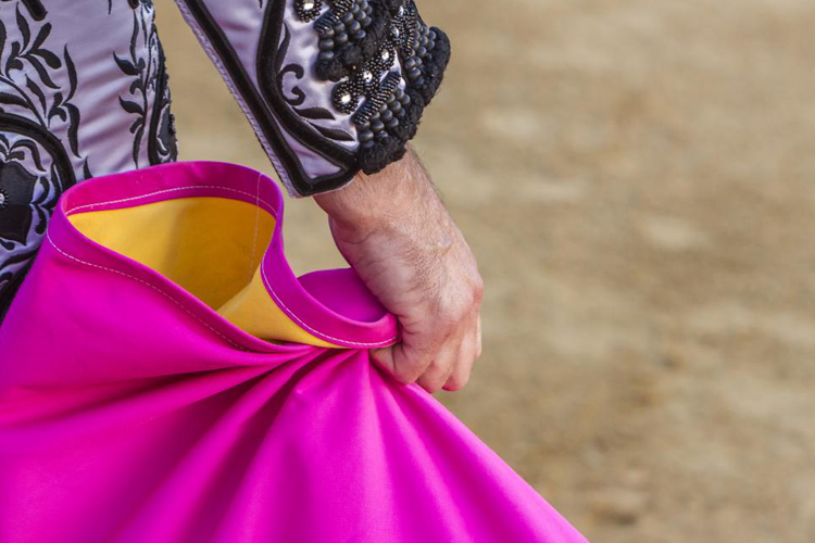 La Comunidad de Madrid acoge la presentación del nuevo Premio Nacional de Tauromaquia tras la supresión del Gobierno central