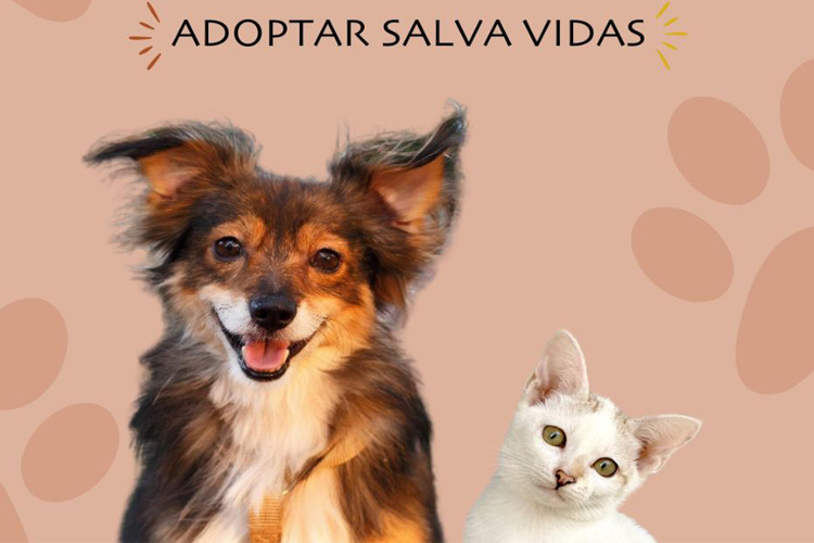 “ ¡Ayúdanos, deja tu huella!”