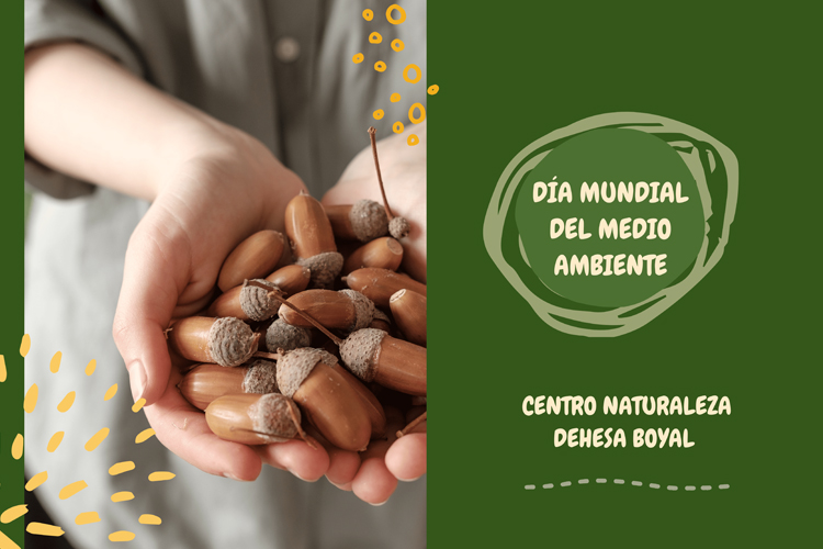 El Centro de Naturaleza Dehesa Boyal de San Sebastián de los Reyes celebra el Día Mundial del Medio Ambiente