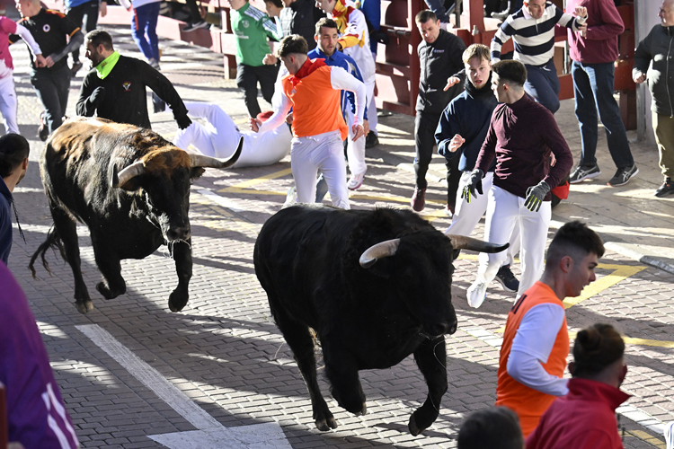 El encierro más multitudinario de la historia se ha celebrado hoy en San Sebastián de los Reyes