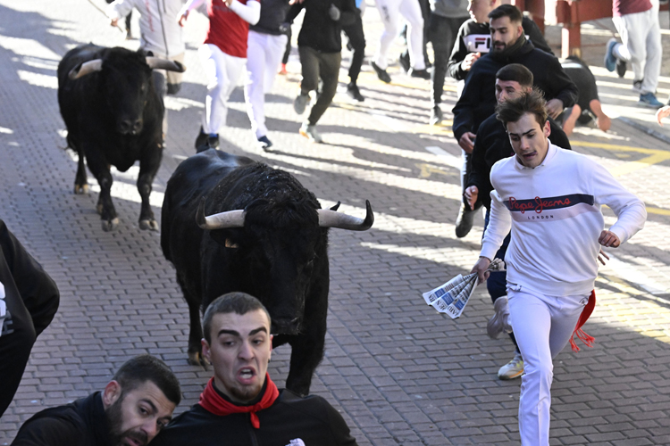 Un herido por asta de toro en un encierro vibrante y espectacular en San Sebastián de los Reyes