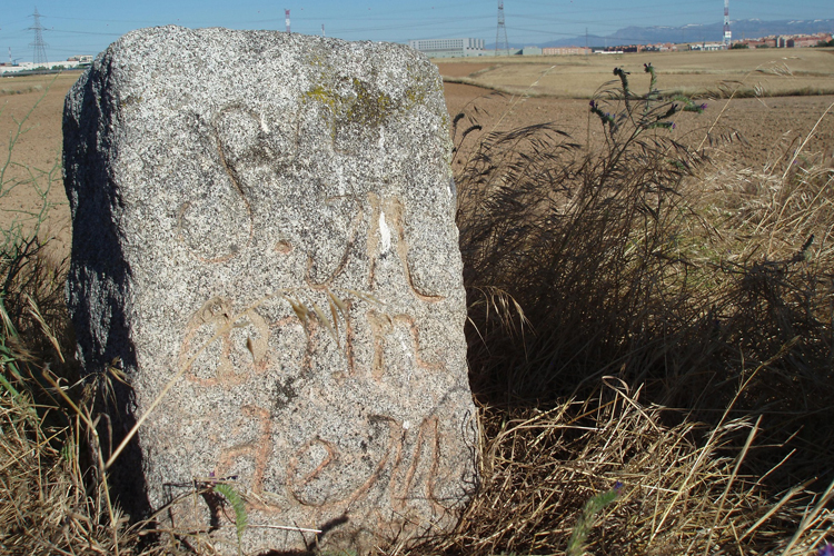San Sebastián de los Reyes presenta una exposición fotográfica que conecta pasado y presente sobre 'La Dehesa Vieja de Madrid 500 años después'
