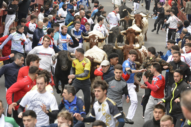 El segundo Encierro Blanco se salda con una carrera muy rápida y nueve heridos