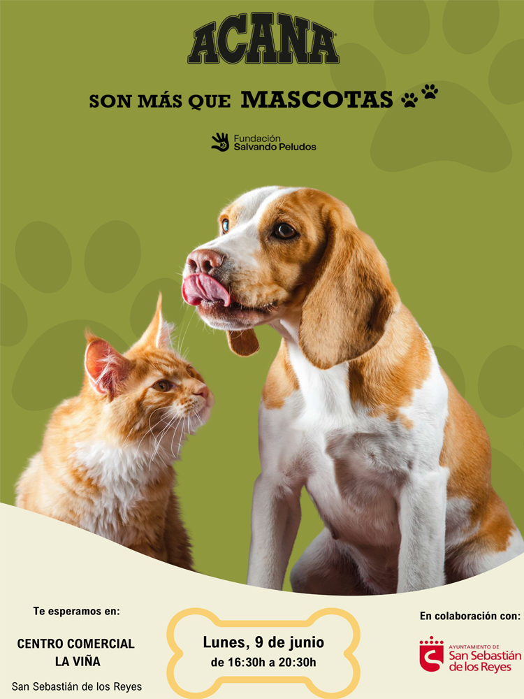 II Edición de “Son más que MASCOTAS” en San Sebastián de los Reyes