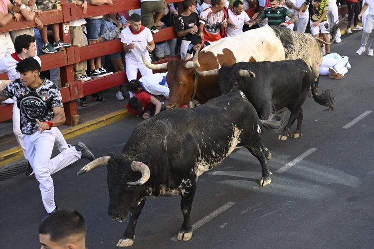 Gran encaste y carreras de vértigo en el tercer encierro de las fiestas de San Sebastián de los Reyes