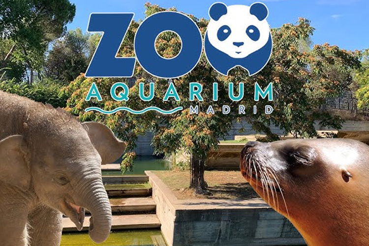 Zoo Aquarium de Madrid ofrece entradas a los vecinos de San Sebastián de los Reyes a un precio muy ventajoso